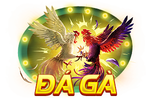 đá gà