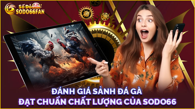 đánh-giá-sảnh-đá gà-đạt-chuẩn-chất-lượng-của-sodo66