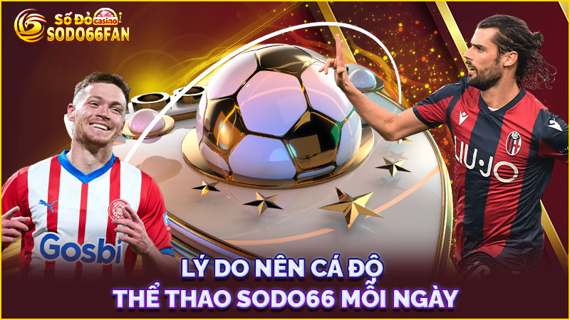 lý-do-nên-cá-độ-thể thao sodo66-mỗi-ngày