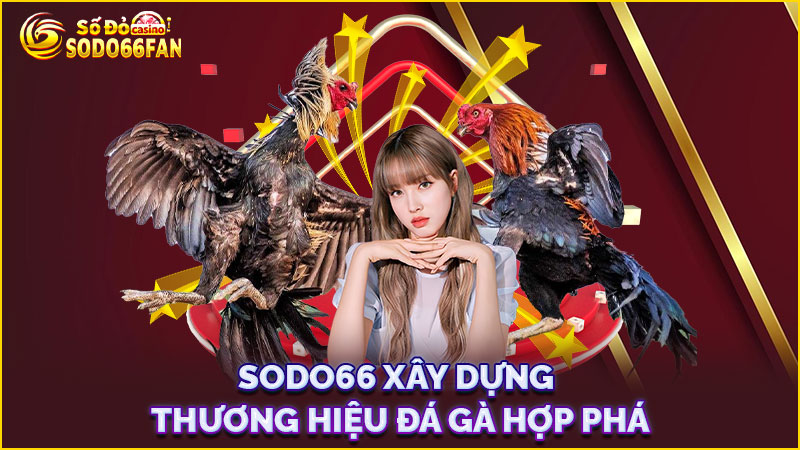 sodo66 xây-dựng-thương-hiệu đá gà hợp-phá