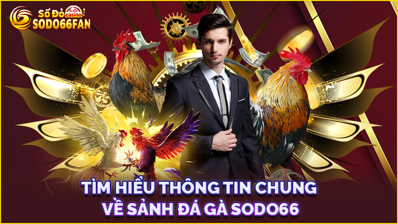 tìm-hiểu-thông-tin-chung-về-sảnh đá gà sodo66