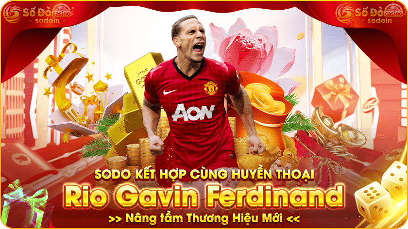 banne rio gavin ferdinand